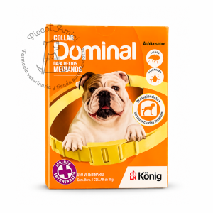 Collar Dominal Dafa Dettos